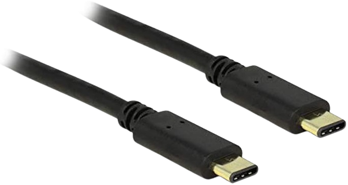 Delock 2M USB-C 2.0 to USB-C 2.0 Cable