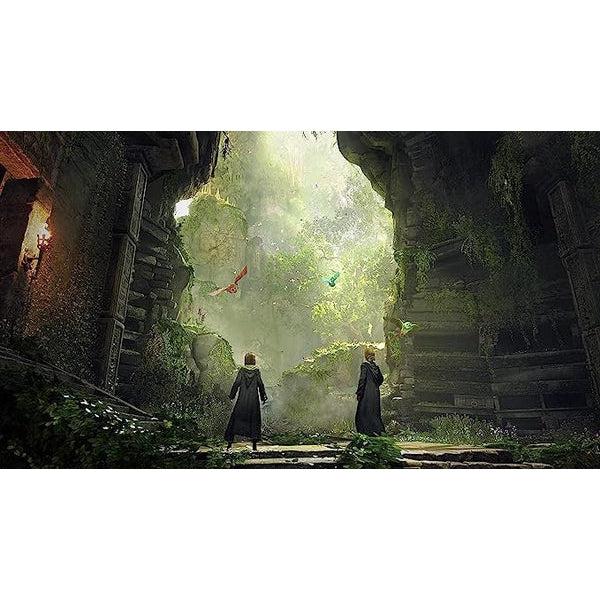 Hogwarts Legacy: Collector's Edition (PS4)