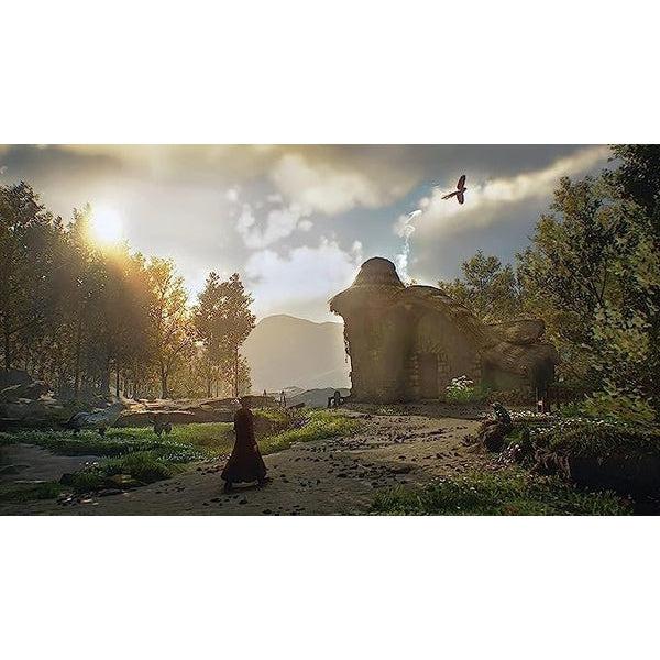 Hogwarts Legacy: Collector's Edition (PS4)
